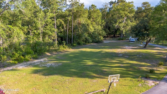 18153 Doc Lizana Rd, Gulfport, MS 39503 - view of road