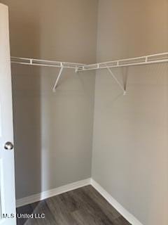 walk in closet featuring dark wood-style flooring