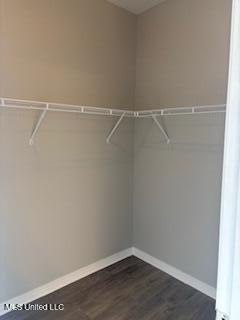 walk in closet featuring dark wood-style floors