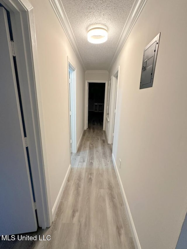 hallway featuring ornamental molding, a textured ceiling, electric panel, and light hardwood / wood-style flooring