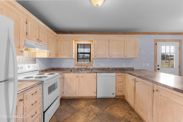 kitchen with sink, light brown cabinets, a textured ceiling, and white appliances