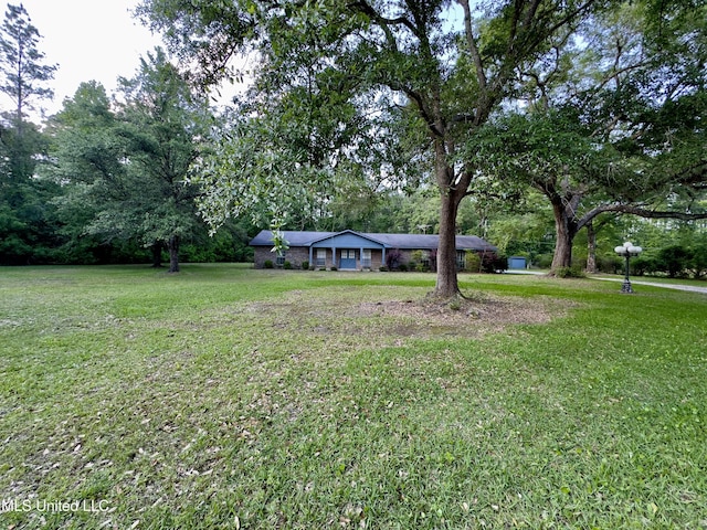 3427 Jr Davis Rd, Moss Point, MS 39562 - view of yard