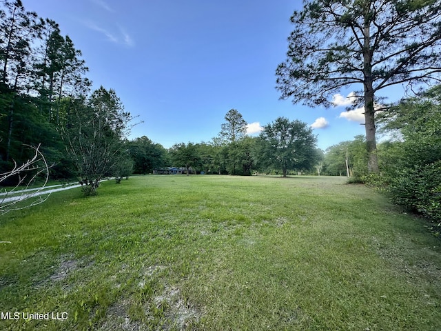 3427 Jr Davis Rd, Moss Point, MS 39562 - view of yard