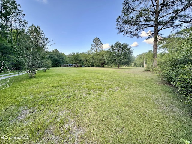 3427 Jr Davis Rd, Moss Point, MS 39562 - view of yard