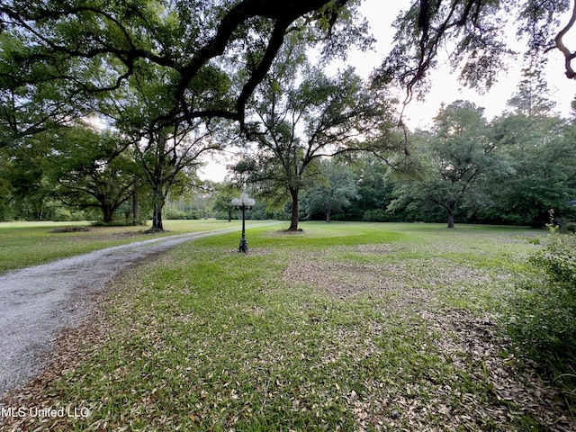 3427 Jr Davis Rd, Moss Point, MS 39562 - view of community featuring a lawn