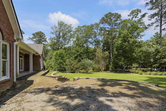 340 Sherborne Pl, Flowood, MS 39232 - view of grassy yard