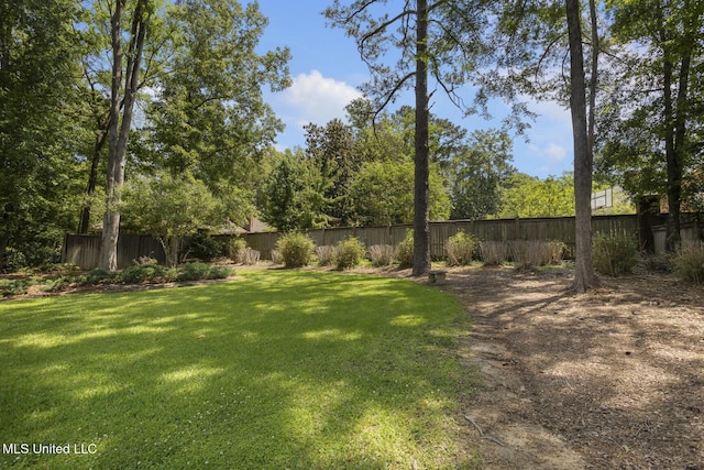 340 Sherborne Pl, Flowood, MS 39232 - view of yard