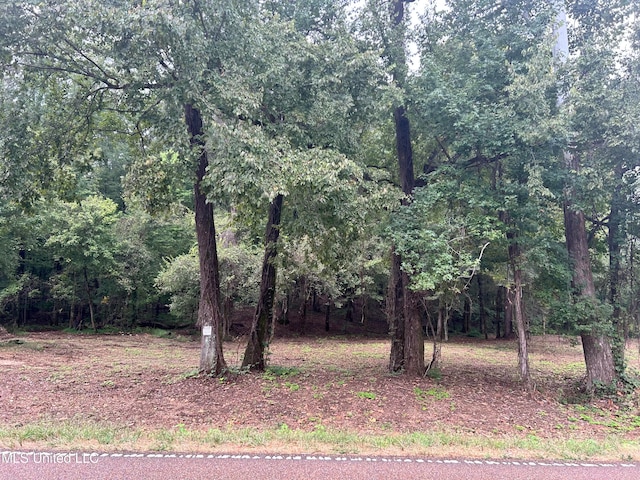 Listing photo 3 for 1 Fogg Rd, Nesbit MS 38651