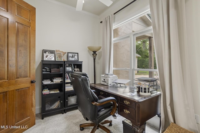 carpeted home office featuring crown molding