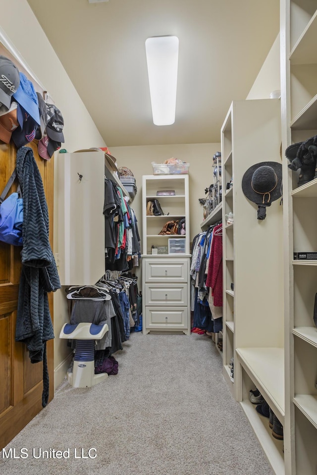 walk in closet featuring carpet