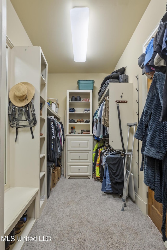 walk in closet with carpet floors