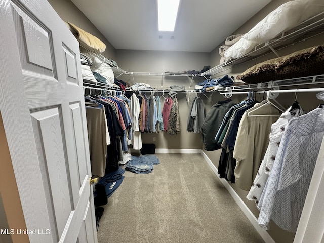590 Eubanks Rd, Alligator, MS 38720 - spacious closet with carpet flooring