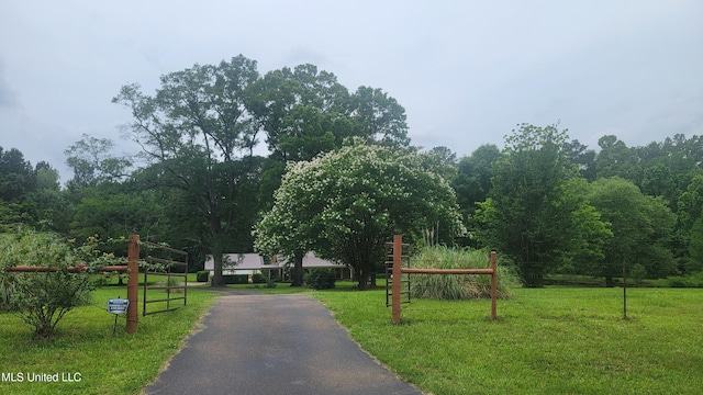 2257 Boyd Rd, Utica, MS 39175 - view of home's community featuring a lawn and a wooded view
