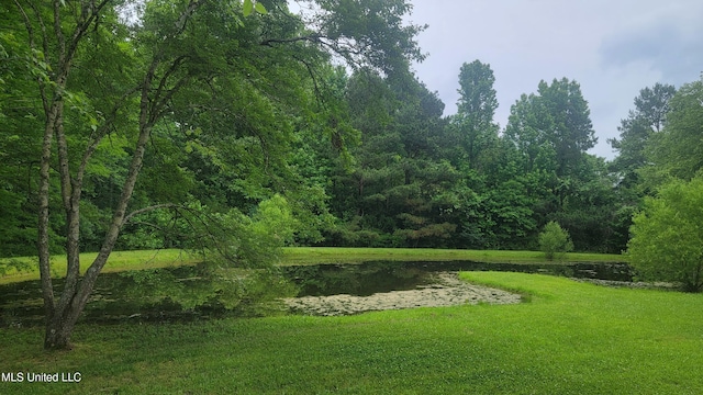 2257 Boyd Rd, Utica, MS 39175 - view of green lawn featuring a wooded view