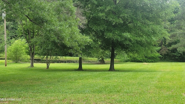 2257 Boyd Rd, Utica, MS 39175 - view of green lawn