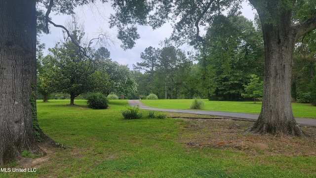 2257 Boyd Rd, Utica, MS 39175 - view of home's community with a yard