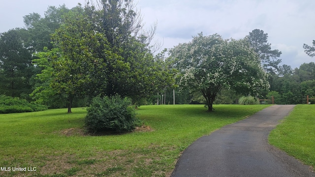 2257 Boyd Rd, Utica, MS 39175 - view of property's community with a lawn