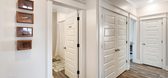 corridor featuring dark wood-type flooring