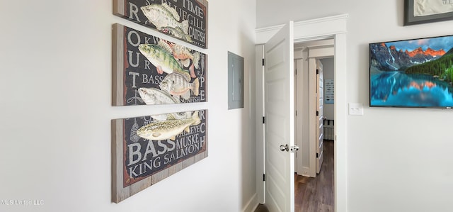 hallway featuring wood finished floors