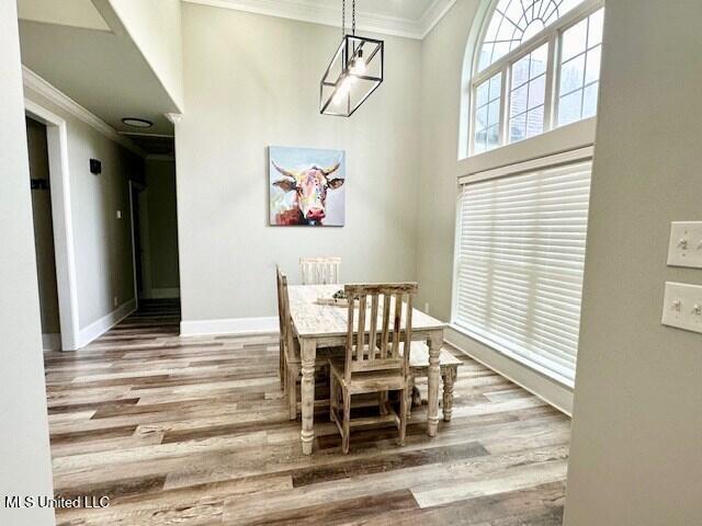 dining room with crown molding, a wealth of natural light, and wood-type flooring