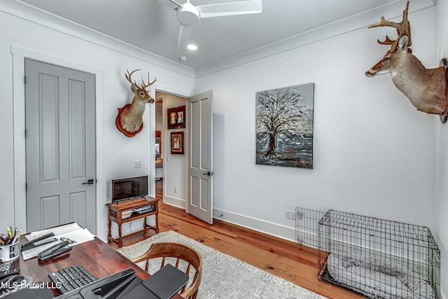 office space with ceiling fan, crown molding, and wood-type flooring