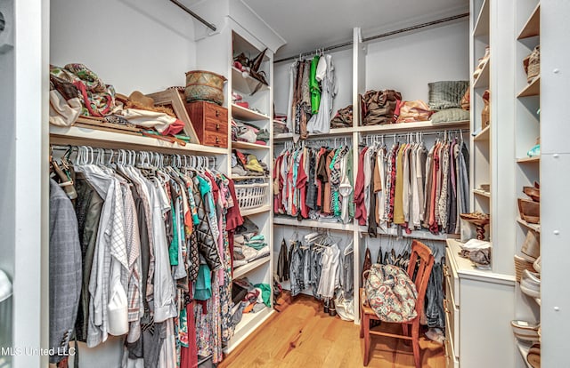 spacious closet with hardwood / wood-style floors