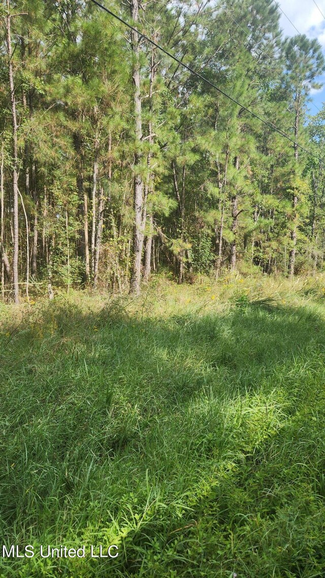 10th Ave, Bay Saint Louis, MS 39520