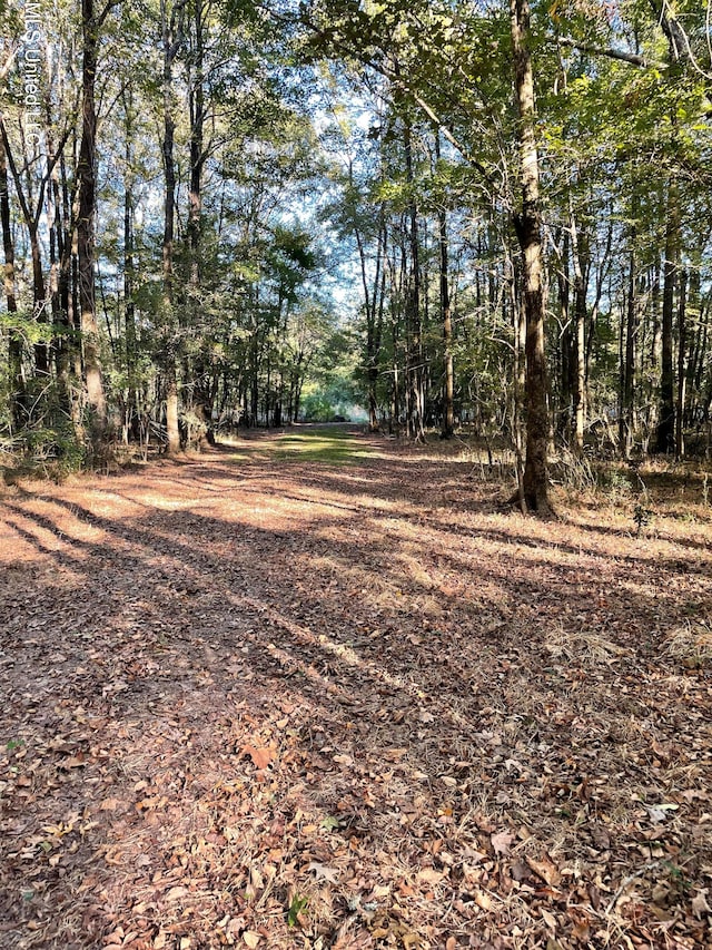 NO E E Lake Dr, Clinton MS, 39056 land for sale