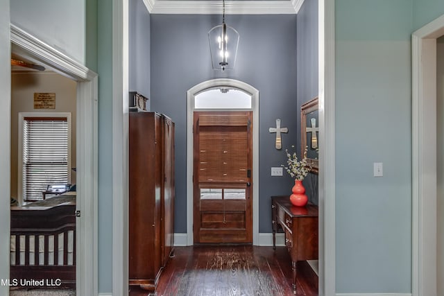 doorway featuring ornamental molding and dark wood-type flooring