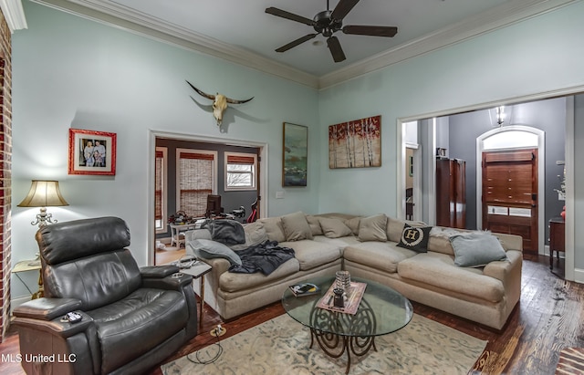 living room with crown molding, dark wood-type flooring, and ceiling fan