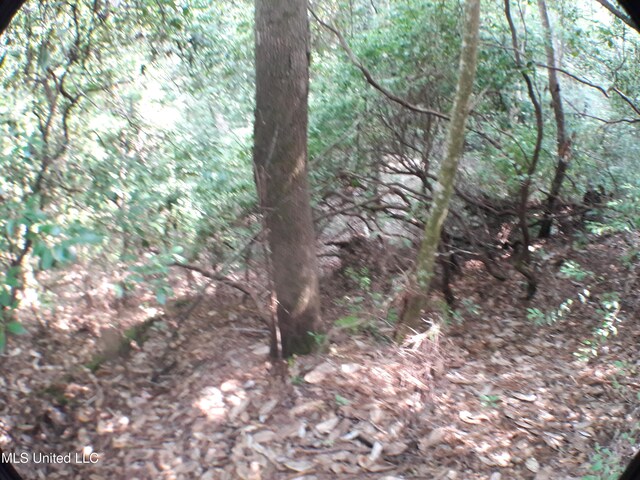 21902 Old River Rd, Vancleave, MS 39565