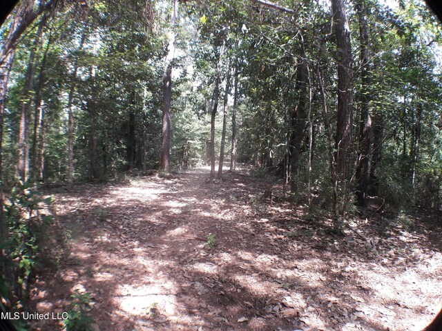 21902 Old River Rd, Vancleave, MS 39565