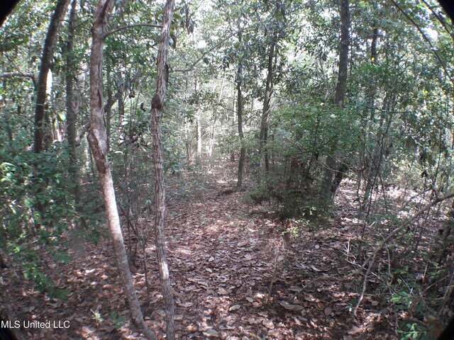 21902 Old River Rd, Vancleave, MS 39565
