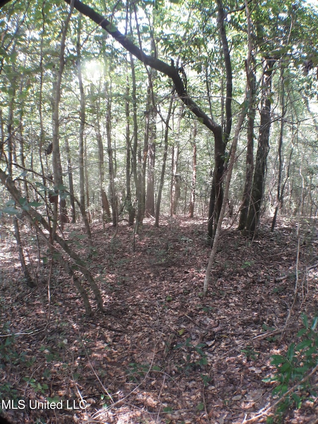 21902 Old River Rd, Vancleave, MS 39565