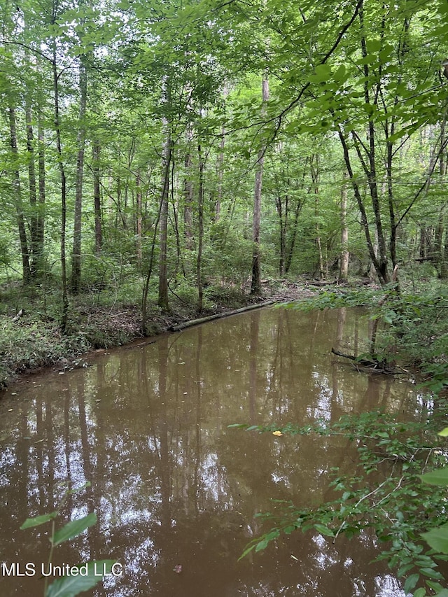 00 E Old Highway 80, Morton, MS 39117