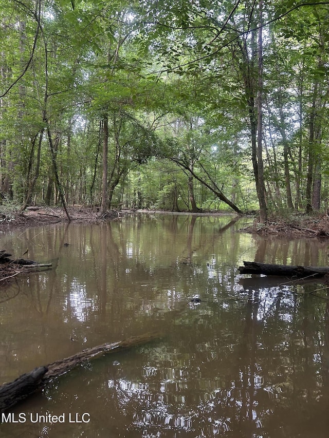 00 E Old Highway 80, Morton, MS 39117