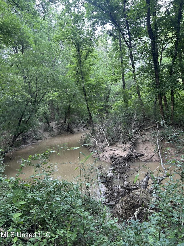 00 E Old Highway 80, Morton, MS 39117
