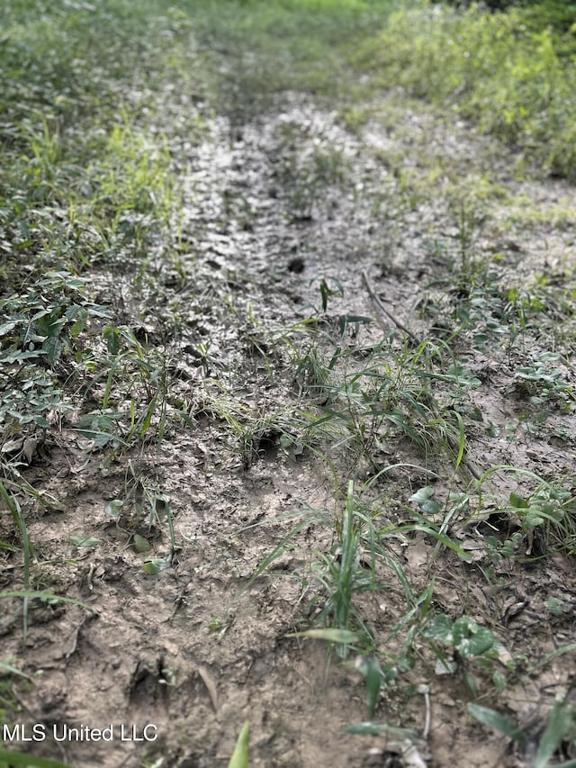 00 E Old Highway 80, Morton, MS 39117