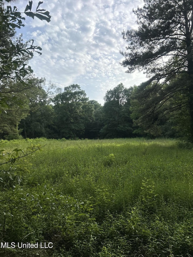 00 E Old Highway 80, Morton, MS 39117