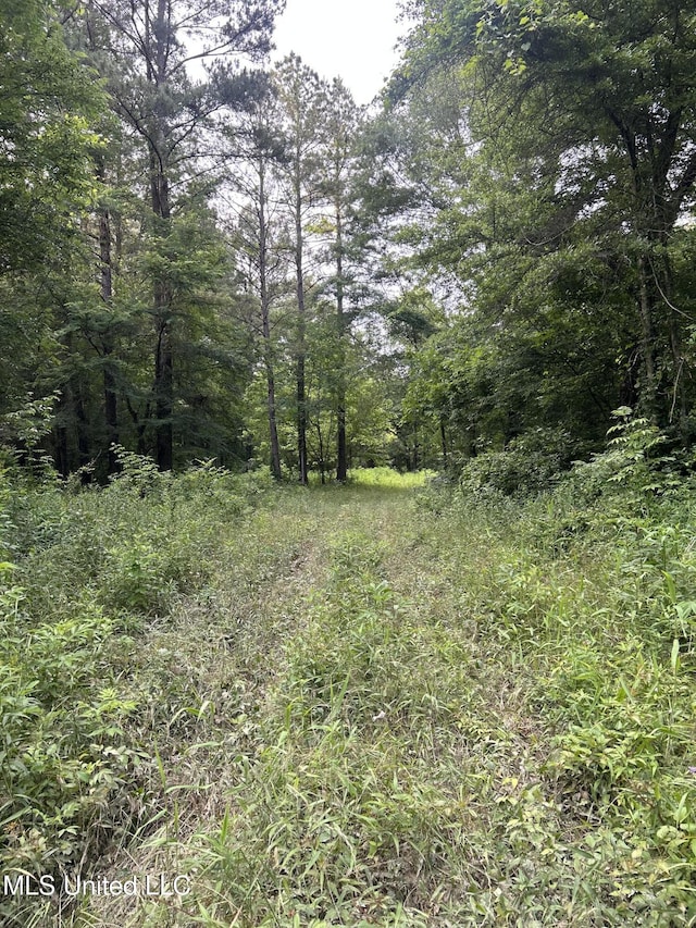 00 E Old Highway 80, Morton, MS 39117