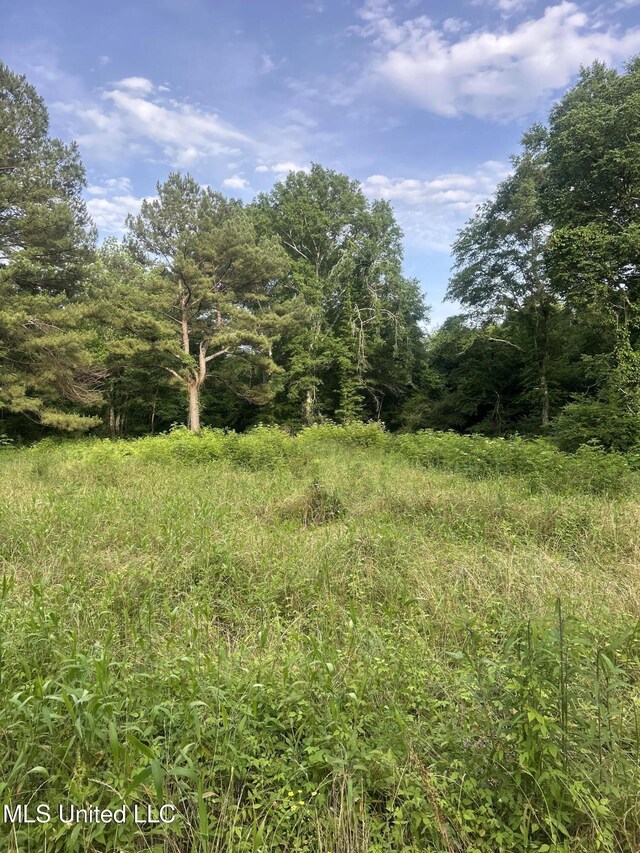 00 E Old Highway 80, Morton, MS 39117