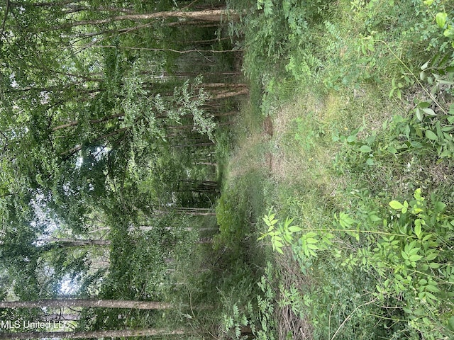 00 E Old Highway 80, Morton, MS 39117