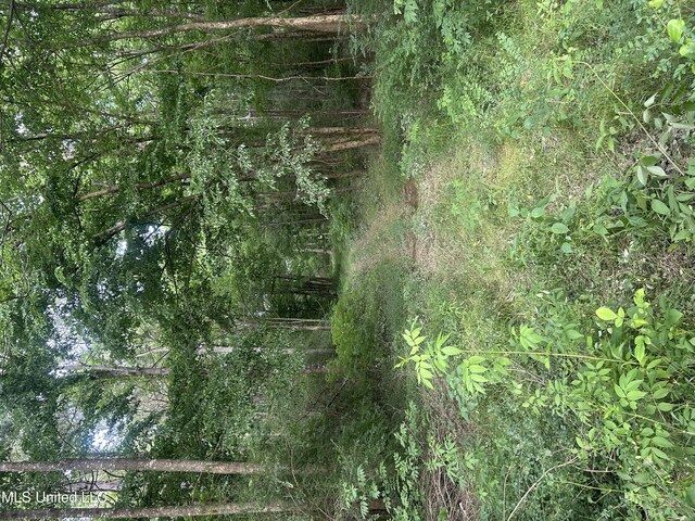 00 E Old Highway 80, Morton, MS 39117