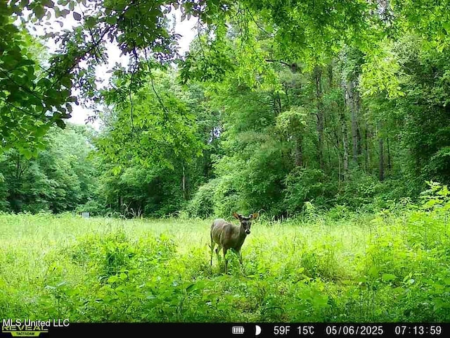 00 E Old Highway 80, Morton, MS 39117