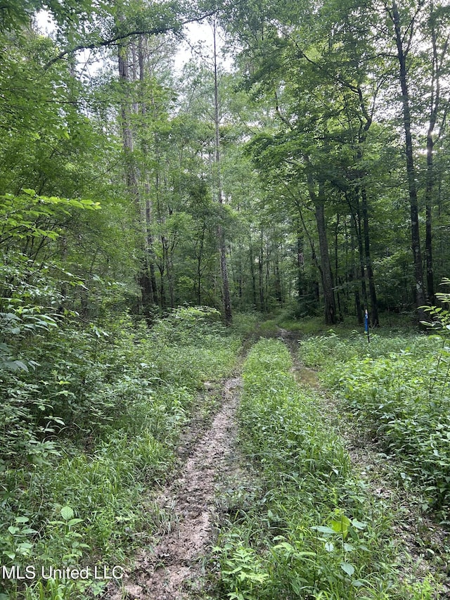 00 E Old Highway 80, Morton, MS 39117