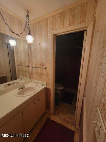 bathroom with vanity and toilet