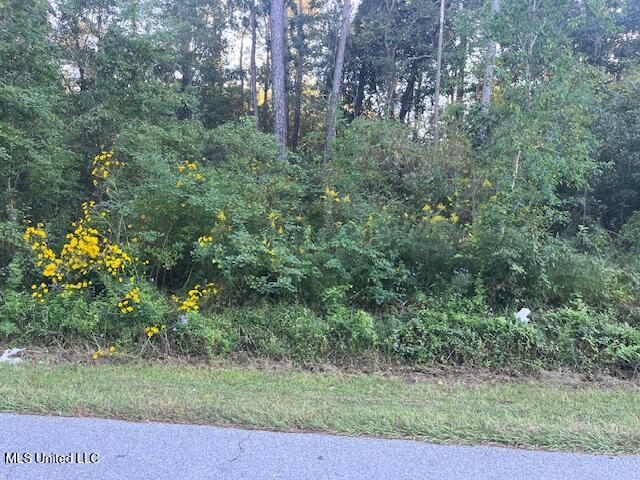 LOT21 Elm Ave, Ocean Springs MS, 39564 land for sale