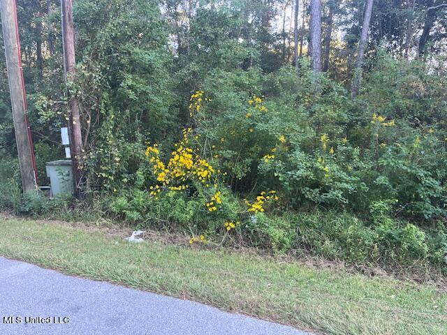 LOT7 Elm Ave, Ocean Springs, MS 39564