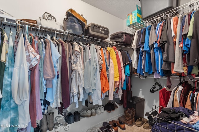 view of walk in closet