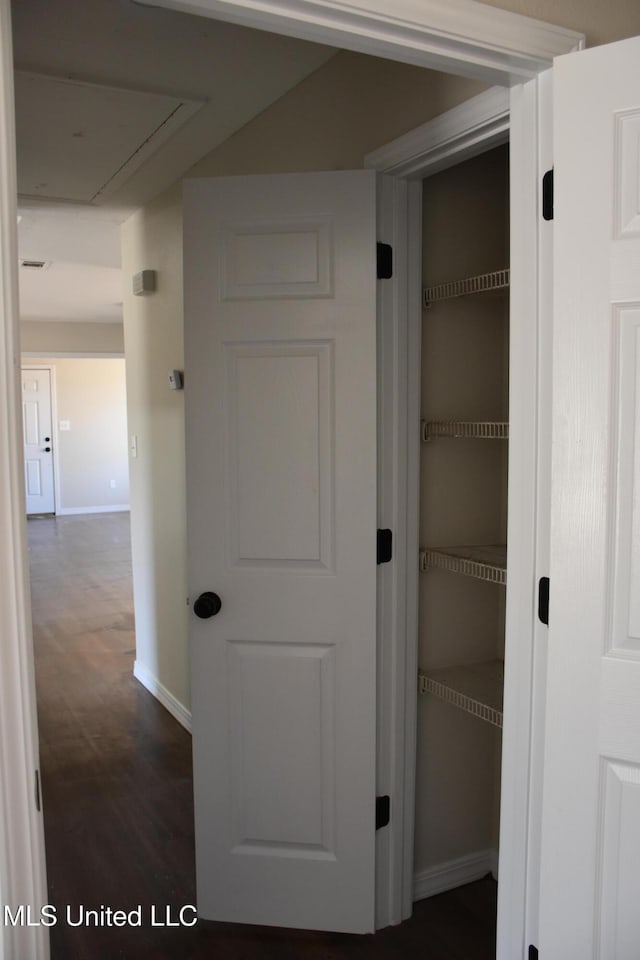 view of closet